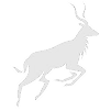 NYALA Logo